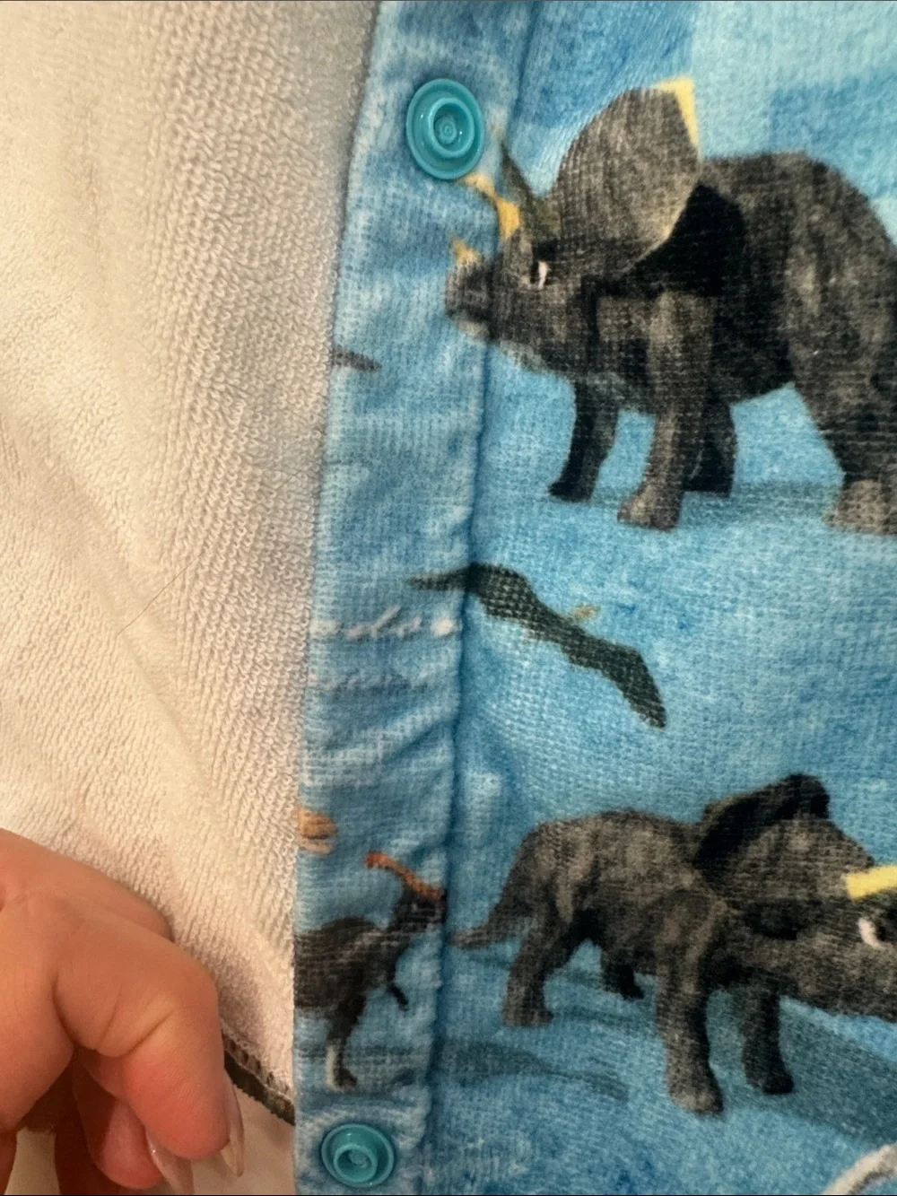 Dinosaur Pool or Bath Towel For Kids, 25.6 inches Length, Dinosaur World print